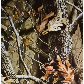 Folia do hydrografiki - Kamuflaż BC0133